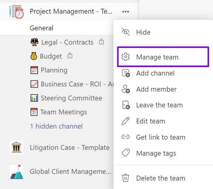 Manage team